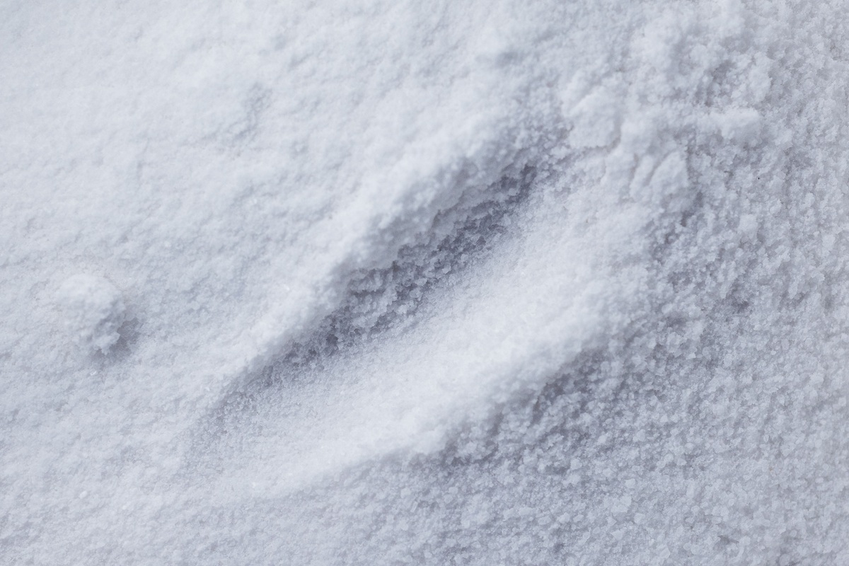Dolomite Powder